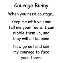 Load image into Gallery viewer, WEIGHTED Courage Bunny Stuffed Animal