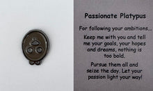 Load image into Gallery viewer, Pins