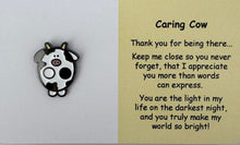 Load image into Gallery viewer, Pins