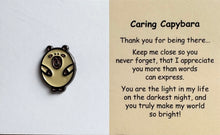 Load image into Gallery viewer, Pins