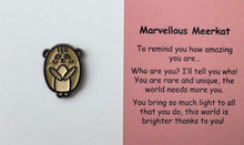 Load image into Gallery viewer, Pins