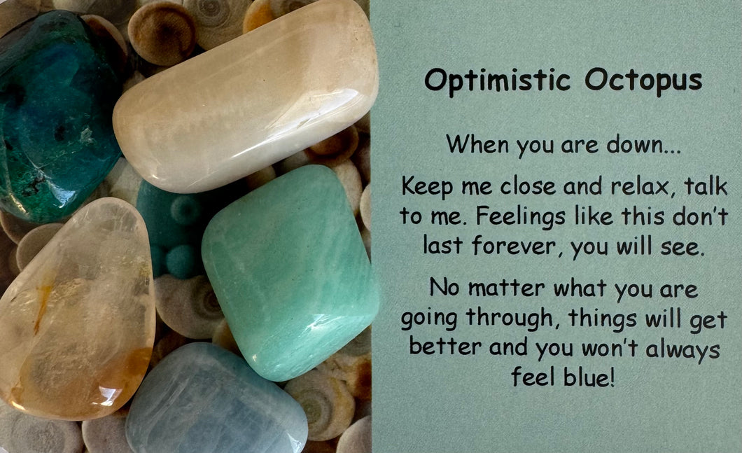 Optimistic Octopus Tumble Stones