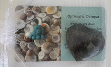 Load image into Gallery viewer, Optimistic Octopus Heart Crystal
