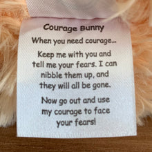 Load image into Gallery viewer, NON Weighted Courage Bunny Stuffed Animal
