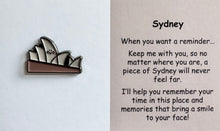 Load image into Gallery viewer, Pins
