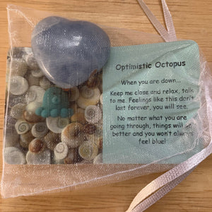 Optimistic Octopus Mental Wellbeing Card and Heart Crystal