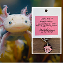 Load image into Gallery viewer, Key Rings
