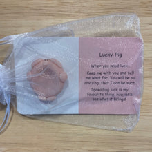 Load image into Gallery viewer, Little Joys Worry Stone - Lucky Pig
