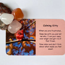 Load image into Gallery viewer, Calming Kitty Mental Wellbeing Card and Tumble Crystals
